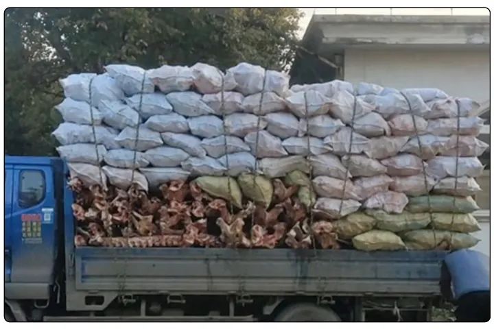 動物骨回收“變廢為寶”，堆放、加工異味難題，如何使用除臭劑解決？