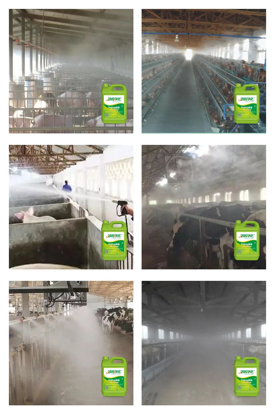 養(yǎng)殖場太臭，用Dejing的凈除臭劑迅速除臭！豬圈/雞場/牛場/羊圈....jpg