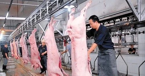 屠宰場臭氣影響周邊環(huán)境?解決辦法在這里.jpg 屠宰場臭氣影響周邊環(huán)境?解決辦法在這里.jpg